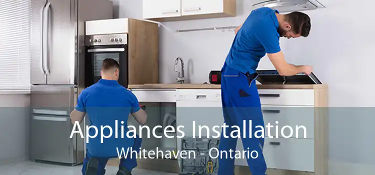 Appliances Installation Whitehaven - Ontario