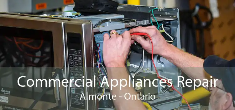 Commercial Appliances Repair Almonte - Ontario