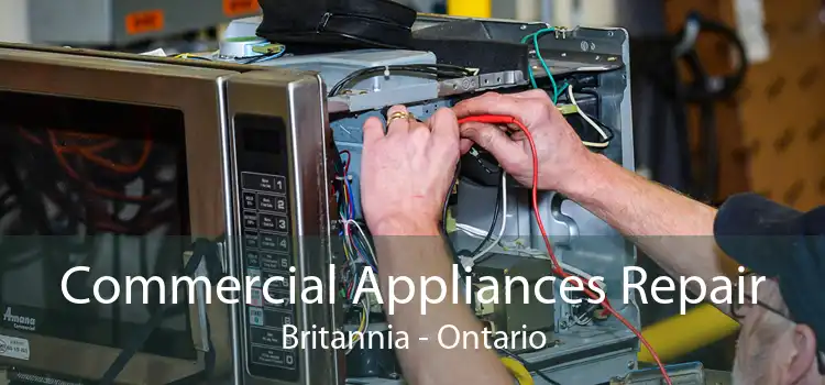Commercial Appliances Repair Britannia - Ontario