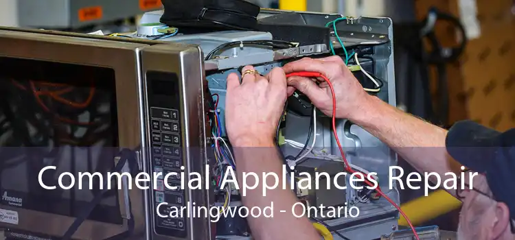 Commercial Appliances Repair Carlingwood - Ontario