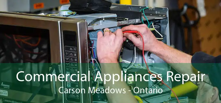 Commercial Appliances Repair Carson Meadows - Ontario