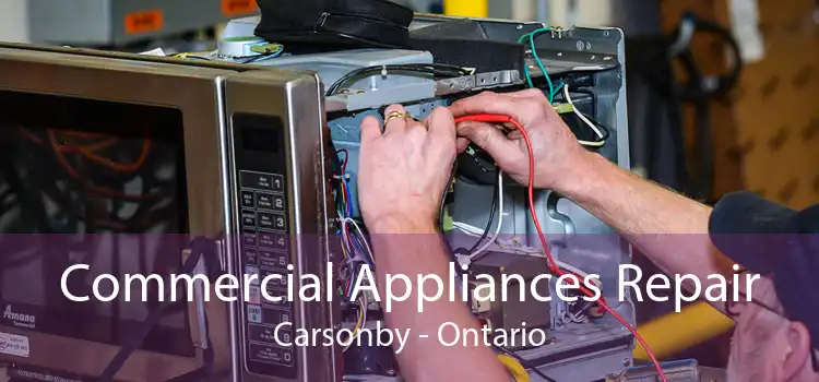 Commercial Appliances Repair Carsonby - Ontario