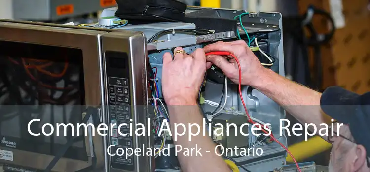 Commercial Appliances Repair Copeland Park - Ontario