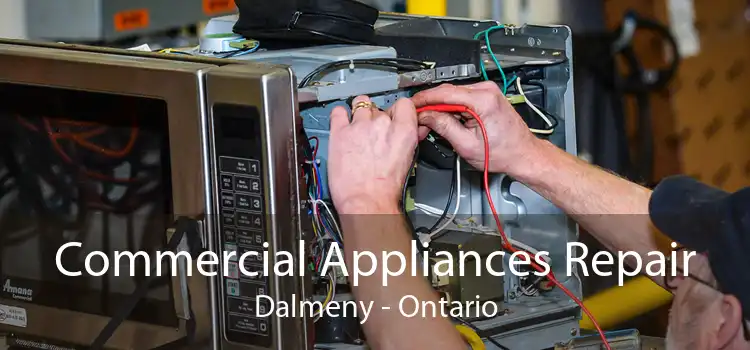 Commercial Appliances Repair Dalmeny - Ontario