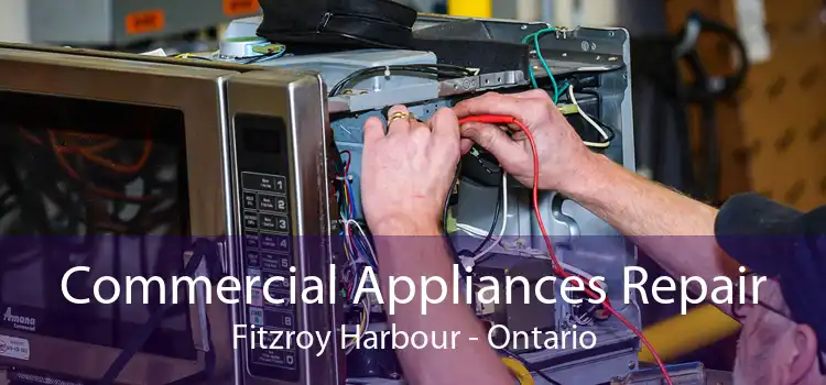 Commercial Appliances Repair Fitzroy Harbour - Ontario