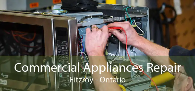 Commercial Appliances Repair Fitzroy - Ontario