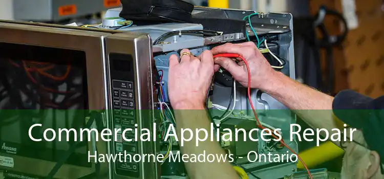 Commercial Appliances Repair Hawthorne Meadows - Ontario