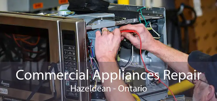 Commercial Appliances Repair Hazeldean - Ontario
