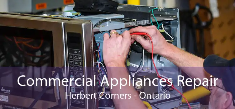 Commercial Appliances Repair Herbert Corners - Ontario