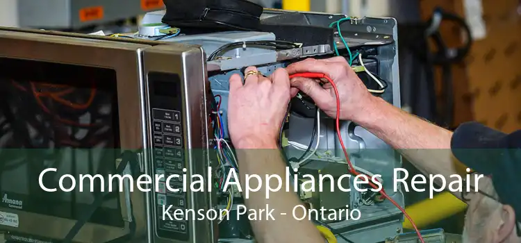 Commercial Appliances Repair Kenson Park - Ontario