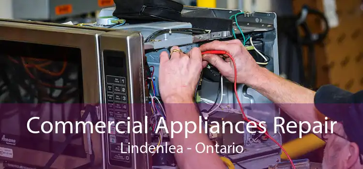Commercial Appliances Repair Lindenlea - Ontario