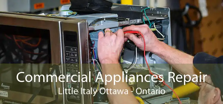 Commercial Appliances Repair Little Italy Ottawa - Ontario