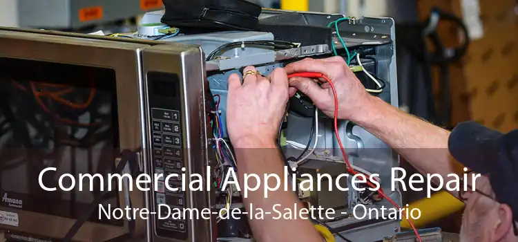 Commercial Appliances Repair Notre-Dame-de-la-Salette - Ontario