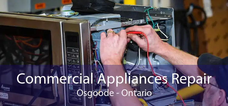 Commercial Appliances Repair Osgoode - Ontario