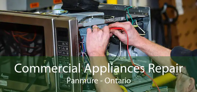 Commercial Appliances Repair Panmure - Ontario