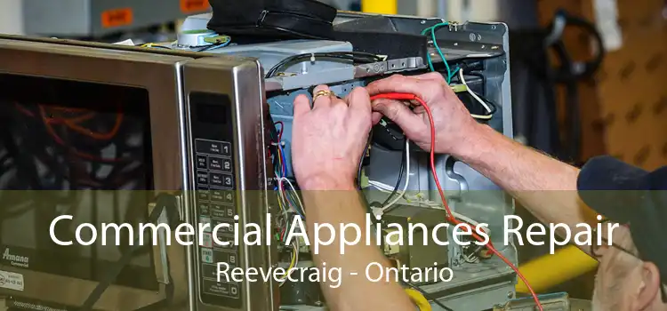 Commercial Appliances Repair Reevecraig - Ontario