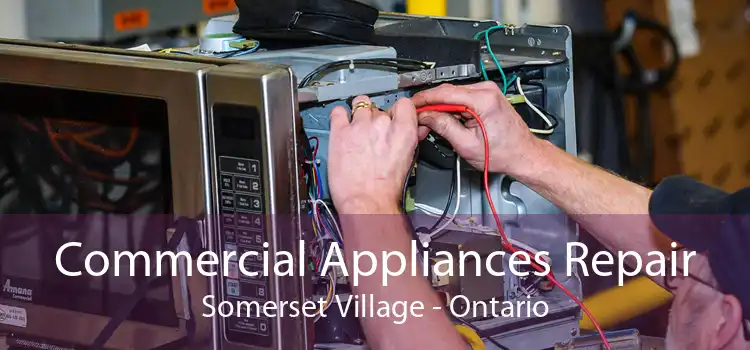 Commercial Appliances Repair Somerset Village - Ontario