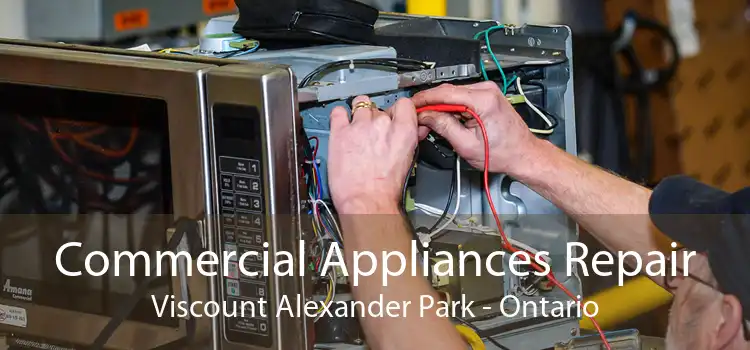 Commercial Appliances Repair Viscount Alexander Park - Ontario