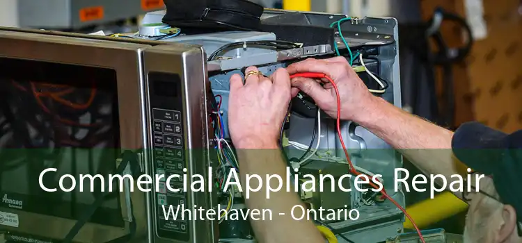 Commercial Appliances Repair Whitehaven - Ontario