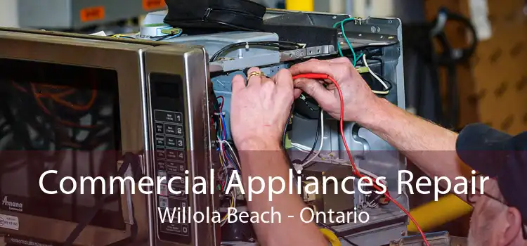 Commercial Appliances Repair Willola Beach - Ontario