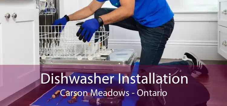 Dishwasher Installation Carson Meadows - Ontario
