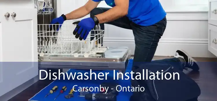 Dishwasher Installation Carsonby - Ontario
