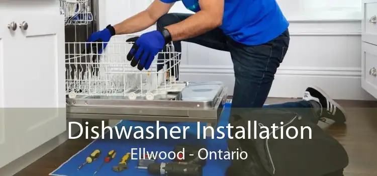 Dishwasher Installation Ellwood - Ontario