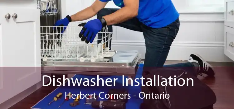 Dishwasher Installation Herbert Corners - Ontario
