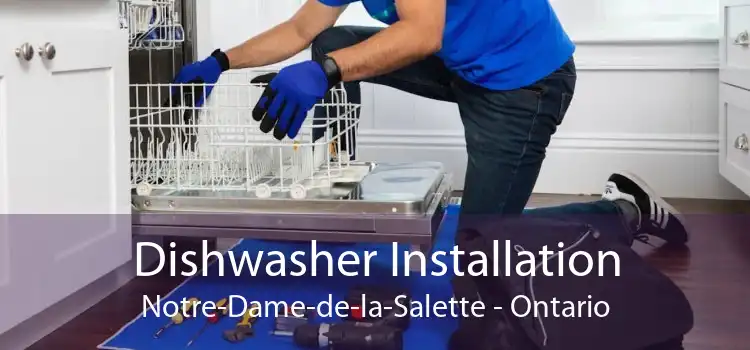 Dishwasher Installation Notre-Dame-de-la-Salette - Ontario
