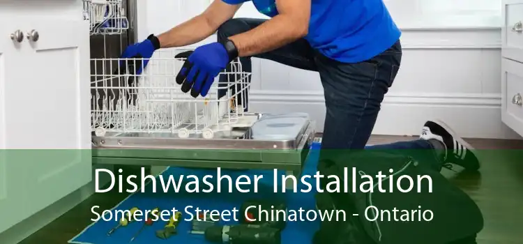 Dishwasher Installation Somerset Street Chinatown - Ontario