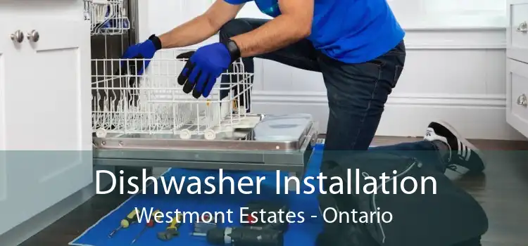 Dishwasher Installation Westmont Estates - Ontario