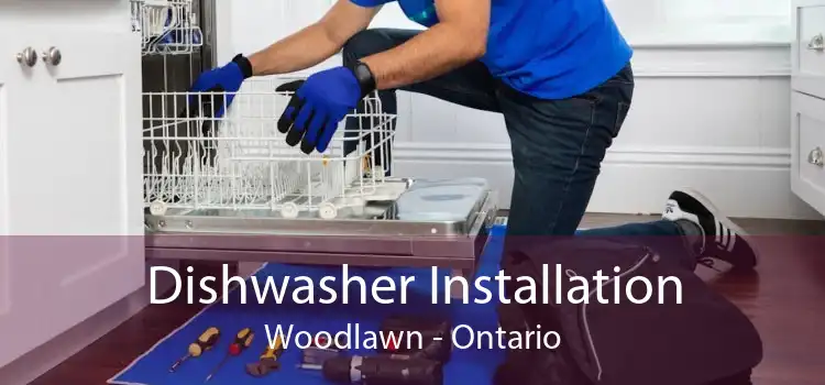 Dishwasher Installation Woodlawn - Ontario