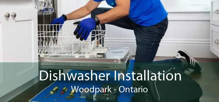 Dishwasher Installation Woodpark - Ontario