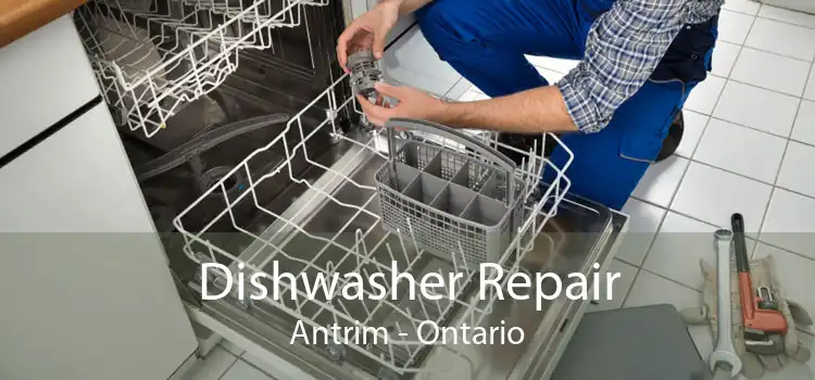 Dishwasher Repair Antrim - Ontario