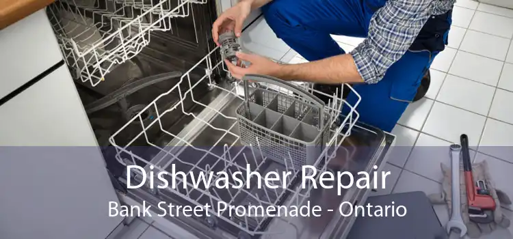 Dishwasher Repair Bank Street Promenade - Ontario