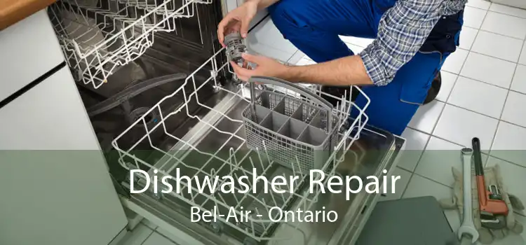 Dishwasher Repair Bel-Air - Ontario