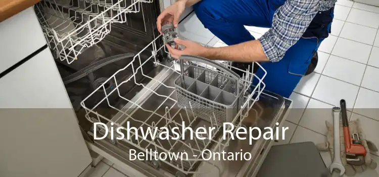 Dishwasher Repair Belltown - Ontario