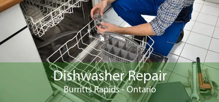 Dishwasher Repair Burritts Rapids - Ontario