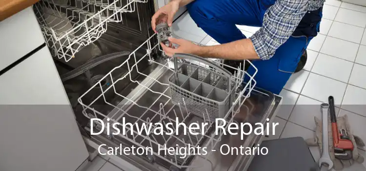 Dishwasher Repair Carleton Heights - Ontario