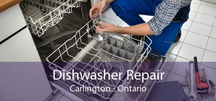 Dishwasher Repair Carlington - Ontario