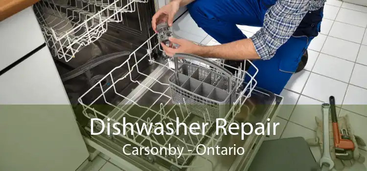 Dishwasher Repair Carsonby - Ontario