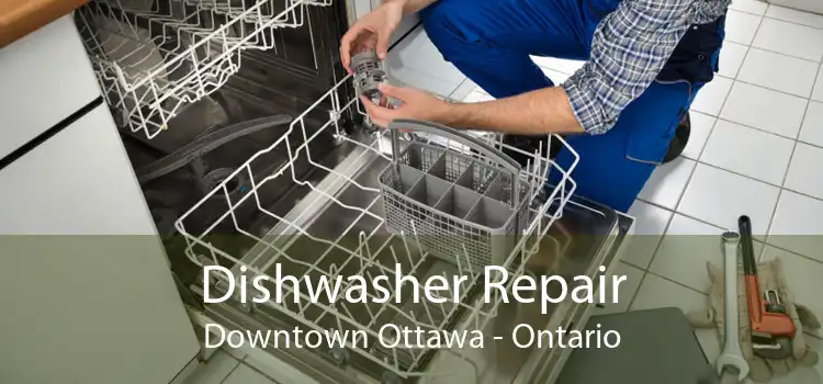 Dishwasher Repair Downtown Ottawa - Ontario