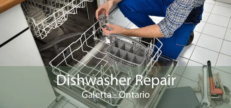 Dishwasher Repair Galetta - Ontario