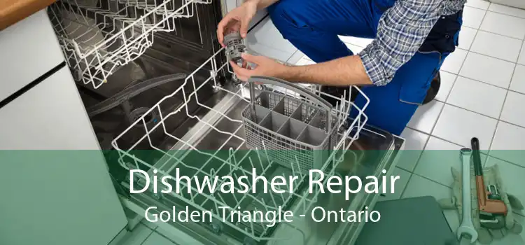 Dishwasher Repair Golden Triangle - Ontario