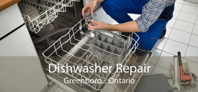 Dishwasher Repair Greenboro - Ontario