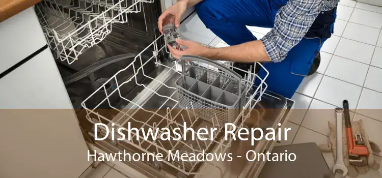 Dishwasher Repair Hawthorne Meadows - Ontario