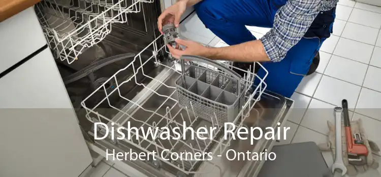 Dishwasher Repair Herbert Corners - Ontario