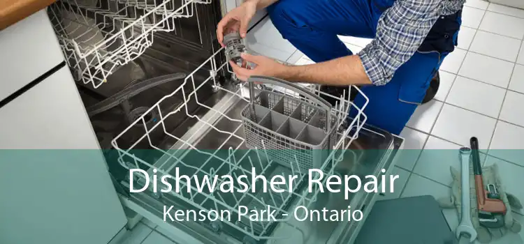 Dishwasher Repair Kenson Park - Ontario