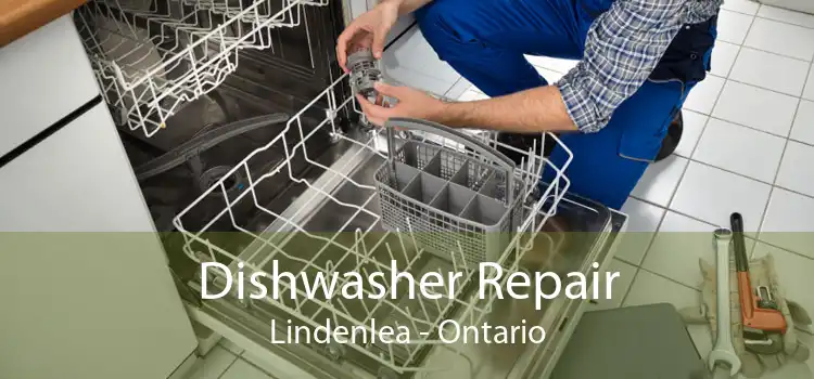Dishwasher Repair Lindenlea - Ontario