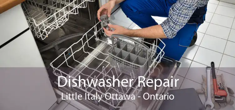 Dishwasher Repair Little Italy Ottawa - Ontario